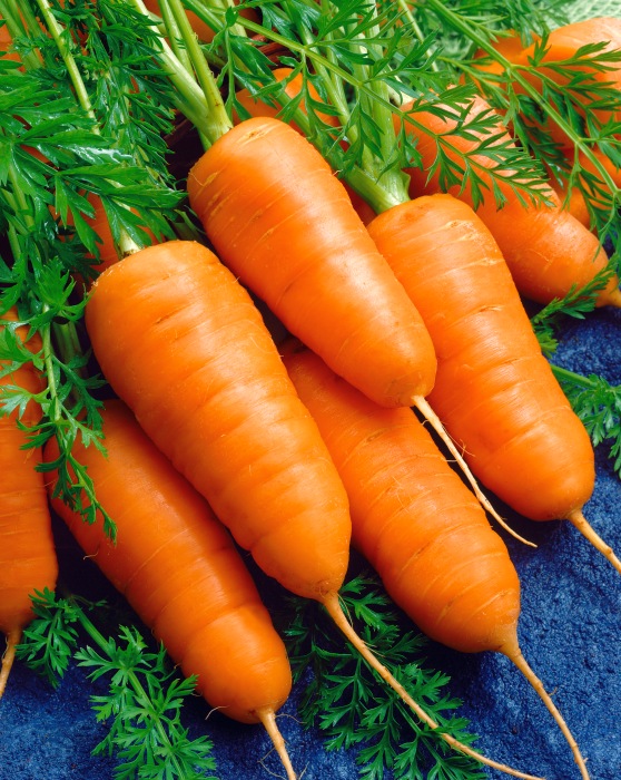 Морковь Курода шантенэ